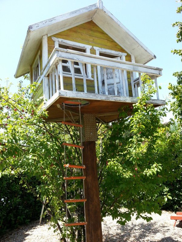 EIN HAUS BAUEN AUF DEM BAUM