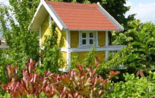 Costruire una casetta sull' albero - build a little house on the tree