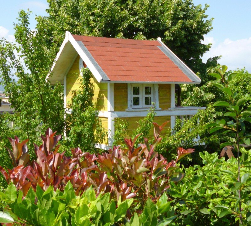 Costruire una casetta sull' albero - build a little house on the tree