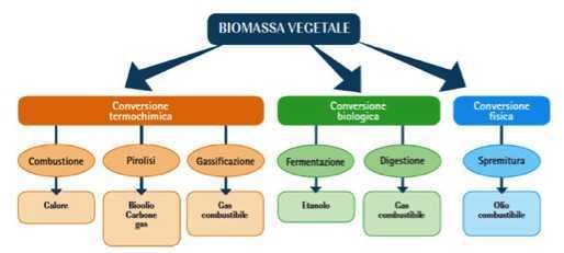 Biomasse