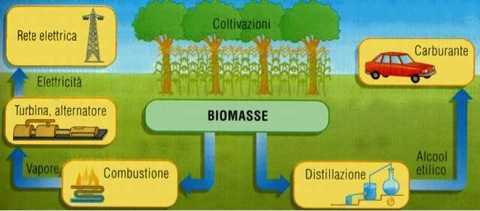 Biomasse2