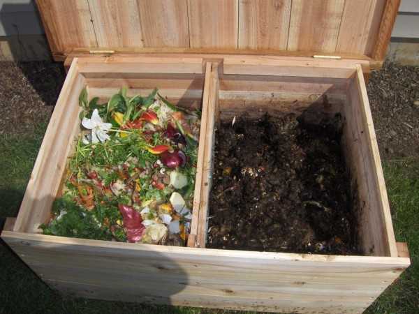 compost 3