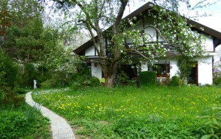 Casa green a Roma? La città eterna anche ecologica!